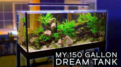 My Dream Aquarium .